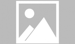 无翼 鸟漫画,青春校园的欢乐与成长